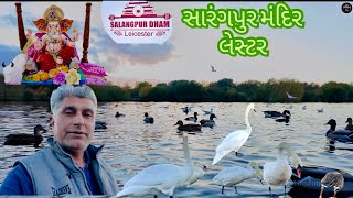 સારંગપુટ મંદિર લેસ્ટર બતક તળાવ ની બારે નીકળી Sarangpur Mandir Leicester  Ram Bhai London Vala 🙏 [upl. by Picardi]