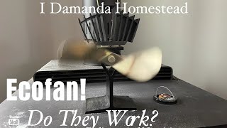 Does an Ecofan Help Your Woodstove Heat Your House Is it Worth It [upl. by Ivatts]