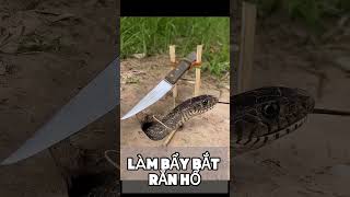 Simple DIY big snake trap using Knifecreativesnaketrap 2024 [upl. by Eniale]