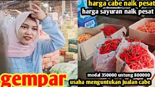 harga cabe hari ini gegersayuran naik semuaudaha menguntukan jualan cabe9 des 2024 [upl. by Nonrev]