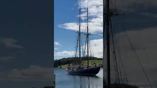 Bluenose 2 sails into port roadtrip Nova Scotia [upl. by Alehtse318]