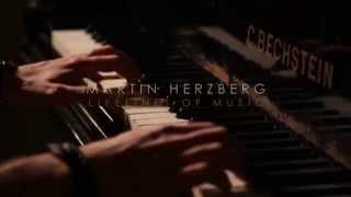 Martin Herzberg  Lifelines of Music Kanalvorschau [upl. by Ciardap]