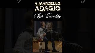 AMarcello Concerto in D minor Adagio 56 Zavadsky accordion marcello adagio classicalmusic [upl. by Yenettirb765]