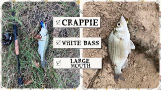 Houston 2024 White Bass Run Large mouth White bass and Crappie [upl. by Melvyn]