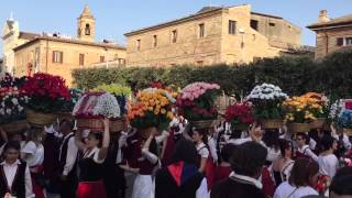 Bucchianico  il rito della ciammaichella per la festa di SantUrbano [upl. by Akimat]