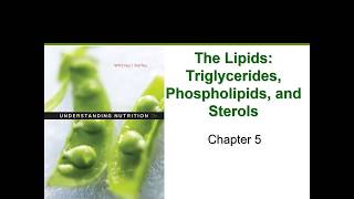 The Lipids Chapter 5 [upl. by Bauer]