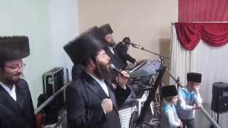 Meir Adler Yanki Daskal  Belz Machnovkeh Wedding part 1 [upl. by Annawad]