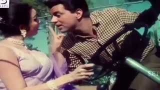 Shikar Karne Ko Aaye  Mohammed Rafi  Dharmendra Asha Parekh [upl. by Enilraep127]