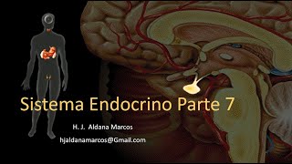 Glándulas endocrinas Parte 7 de 7 Tiroides Paratiroides Pineal Hernán Aldana [upl. by Terraj]