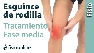 Esguince de ligamento lateral interno de rodilla  Tratamiento en su fase intermedia FUNCIONA ❤️ [upl. by Omor]