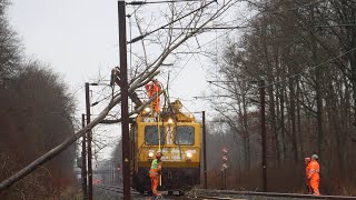 Tog påkørte væltet træ ved Borup 3124 [upl. by Sid130]