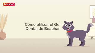 Cómo aplicar el Gel dental Beaphar en tu gato  Beaphar Dental [upl. by Eilata]