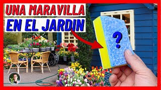 SUPER TIP DE JARDINERIA Las Esponjas de cocina VALEN ORO EN EL JARDIN versión corta Gio de la Rosa [upl. by Jacinto]