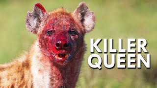 Hyenas and The Killer Queens Of The Animal World [upl. by Ripp]