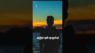 Ruu chaya රූ චායා adare sada ma mage sitha paluwe dama  Chathumi Dihara musiclyrics shortvideo [upl. by Harias549]