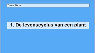 Basisstof 1 De levenscyclus van een plant [upl. by Napoleon819]