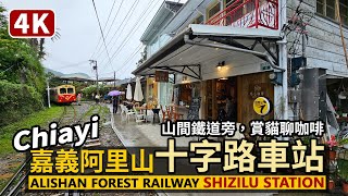 Chiayi／嘉義縣阿里山林業鐵路「十字路車站」周邊 Alishan Forest Railway Shizilu Railway Station／阿里山森林小火車／Taiwan Travel台湾旅行 [upl. by Jerri]