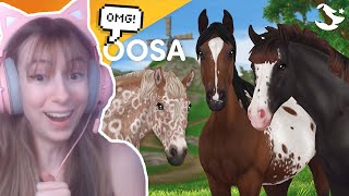 NEW APPALOOSA HORSES 🐴 Star Stable Trailer REACTION [upl. by Latt272]