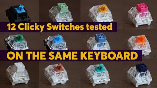 The Ultimate CLICKY SWITCHES Sound Test Compilation  Hear the Difference on a Full Keyboard [upl. by Yrannav]