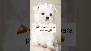 🌸nombres para perritas🌸 [upl. by Abel]