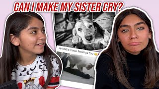 getting my SISTER to CRY  Mercedes and Evangeline Lomelino [upl. by Nannah]