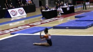 Sarah Schmidt 2010 Big Ten Championships Floor [upl. by Einnaej]