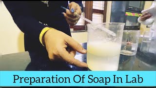 Soap Making  How To Make Soap  Saponification Process I By Pandey Mam [upl. by Horace968]