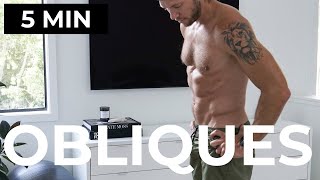 5 MIN OBLIQUES WORKOUT NO EQUIPMENT LOVE HANDLE WORKOUT [upl. by Lertnahs693]