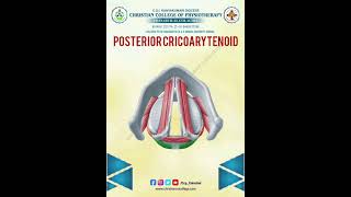 POSTERIOR CRICOARYTENOID… [upl. by Eniac438]