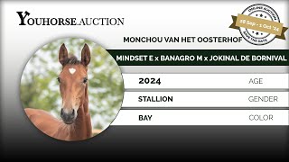 Monchou van het Oosterhof IN THE YOUHORSEAUCTION BREEDING SEPTEMBER 28  OCTOBER 2 2024 [upl. by Adnalu]