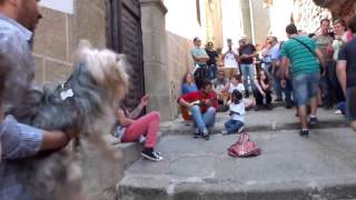 Dos genios cantando en la calle Flamenco Caceres [upl. by Der]