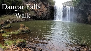 Walk amp Talk  Episode 73  Dangar Falls Walk [upl. by Sherwin]