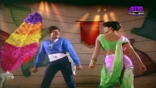 Guvva Gorinkatho adindile Bommalata  Telugu Movie Hit Song [upl. by Zetrauq408]