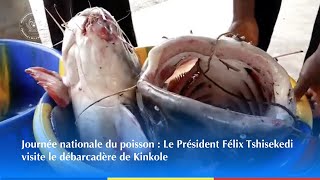 Journée nationale du poisson  Le Président Félix Tshisekedi visite le débarcadère de Kinkole [upl. by Adnaugal]