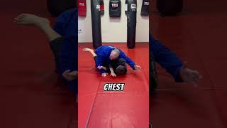 Leg Drag Smesh Everybody bjj [upl. by Blakeley974]