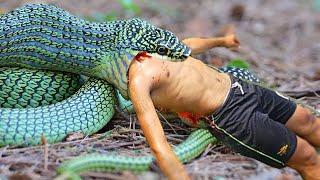 ANACONDA ATTACKS fishing boy in water  Ataque de anaconda  fun made movie [upl. by Roberto]