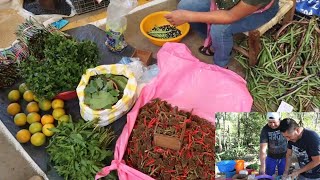 Nos Fuimos Al Mercado De Huejutla A Comprar Caxtilan Y Carne Seca Para Preparar Unos Ricos Bocoles [upl. by Korie]