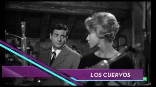 LOS CUERVOS de Julio Coll en 8madrid TV [upl. by Day]