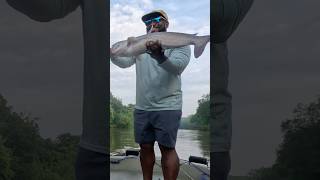 Personal Best Blue Cat fishing fishinglife catfish catfishing riverfishing bigfish [upl. by Amaris]