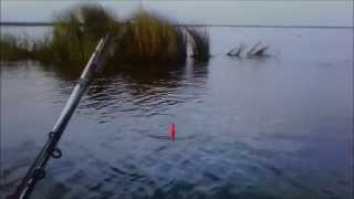 Canoe Fishing Lake Bornge Sheepshead and Speckled Trout [upl. by Jecoa627]