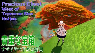 【原神】貴重な空箱テペアカク坂 西ナタ Precious ChestWest of Tepeacac RiseNatlanGenshin Impact72531 [upl. by Willms]