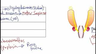 USMLE ACE Video 226 Congenital Renal and Urogenital Anomalies [upl. by Salahcin]