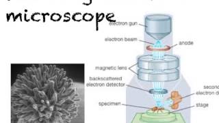 microscopes [upl. by Matejka65]