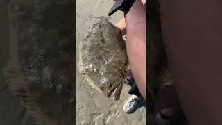 Catching flounder in duval county NAVY MONSTERHUNTERCEO fishingvideo FISH tv hiphop love [upl. by Rolecnahc]