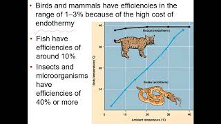 10 rule AP Biology 553 [upl. by Isolde]