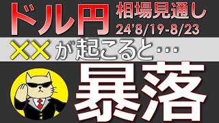 【ドル円最新予想】知らないと超危険！ドル円暴落を事前に知る方法とは？簡単解説！来週の為替相場予想と投資戦略！ジャクソンホール・閉会中審査・岸田・不出馬・PMI・暴落に注目24819週【FX】※ [upl. by Rachael943]