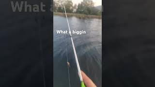 fishing with the ice fishing rod icefishingtrout fishing sunfish [upl. by Floss]