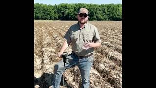 E VA Red Potato Trial Soil Compaction Explanation [upl. by Byrann]