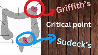 Griffiths and Sudecks point  IN ONE MINUTE [upl. by Knah]