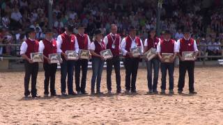 Haflinger Welt Ausstellung 2015 Ebbs Tirol  die Highlights vom Sonntag mit Siegerehrung [upl. by Darb432]